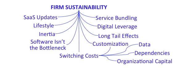 Firm Sustainability