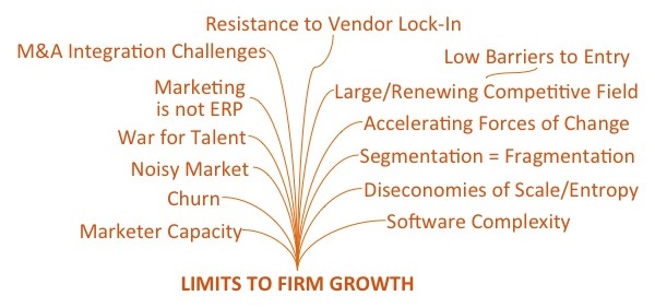 Limits to Firm Growth