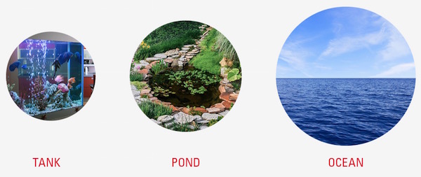 Tank, Pond, Ocean - Marketing Experimentation