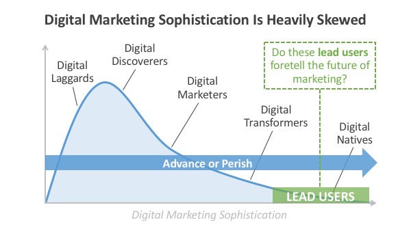 Skewed Digital Marketing Sophistication