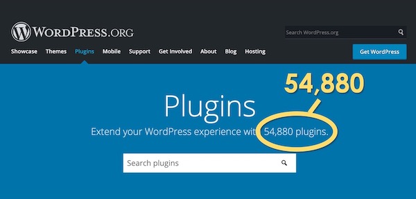 Wordpress Plugin Ecosystem