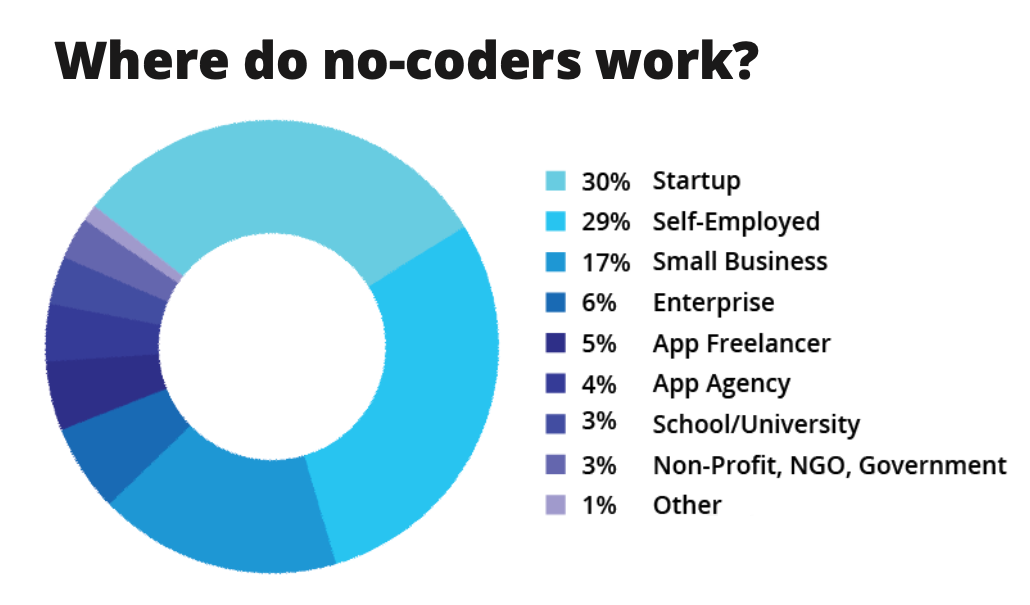 Where Do (Bubble) No Code Users Work?