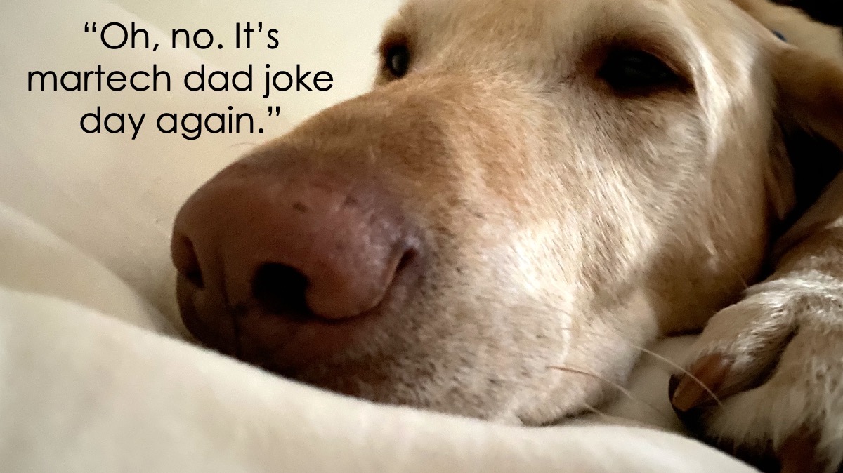 13 cringe-worthy martech dad jokes that are even worse than last ...